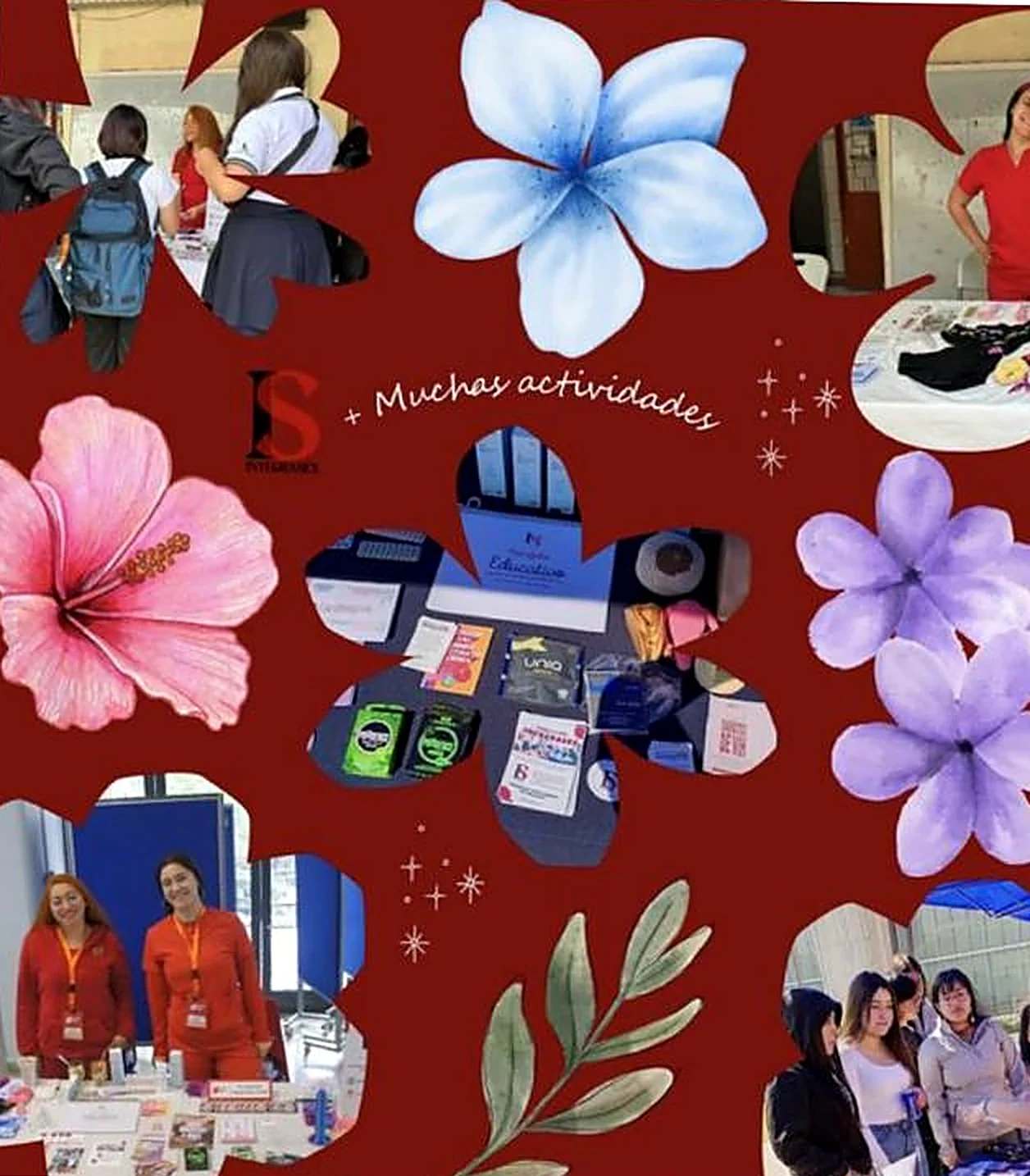 Collage de stands y talleres de IntegraSex en colegios y universidades